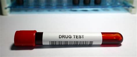 do hemp oil.drops appear on drug test|hemp pop positive usnho.